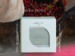 EGN ASD RF2D DRD Falda 0301-070