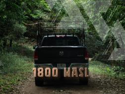 Washed PA1504